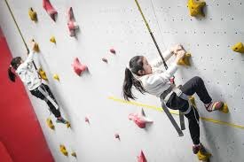 国际博彩研究协会2025年年会澳门举办